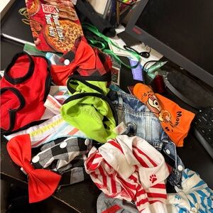 Amazon Dog Clothing Set - Red, Green, Orange, Black, White